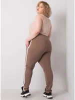 Tepláky RV DR 6643.95 hnedá Tepláky RV DR 6643.95 hnedá