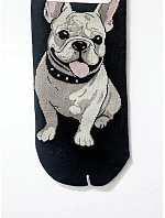 Nohy WiK Xintao 3502 wz.34 35-42