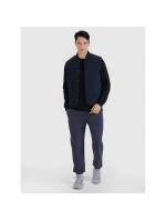 Pánské tričko bez rukávů model 21433550 - 4F Pánské tričko bez rukávů model 21433550 - 4F