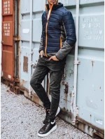 Pánská přechodná bunda prošívaná tmavě modrá Dstreet model 21963631 - FashionStreet