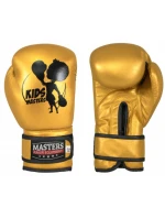 Boxerské rukavice - model 21860290