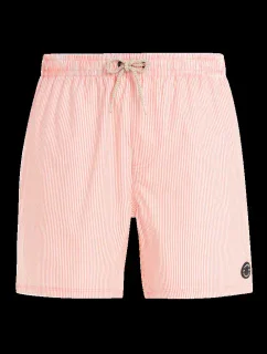 Pánske plážové šortky Protest PRTMANAMA