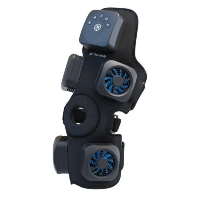 Knee model 21863675 Knee model 21863675