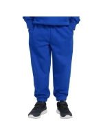 Nohavice 4F CAS M1245 Jr 4FJWAW25TTROM1245 36S