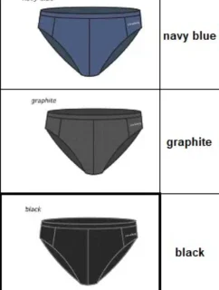 Pánske slipové plavky 2019