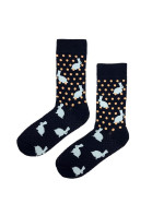 Pánske ponožky Regina Socks 7844 Avangarda Sliepky