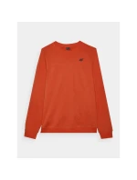 Pánská mikina  s kapucí bez model 21437408 - 4F