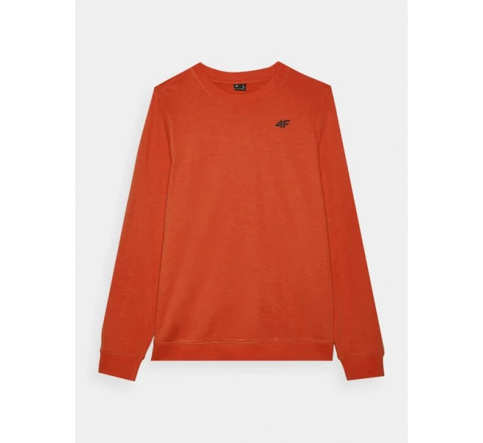 Pánská mikina  s kapucí bez model 21437408 - 4F