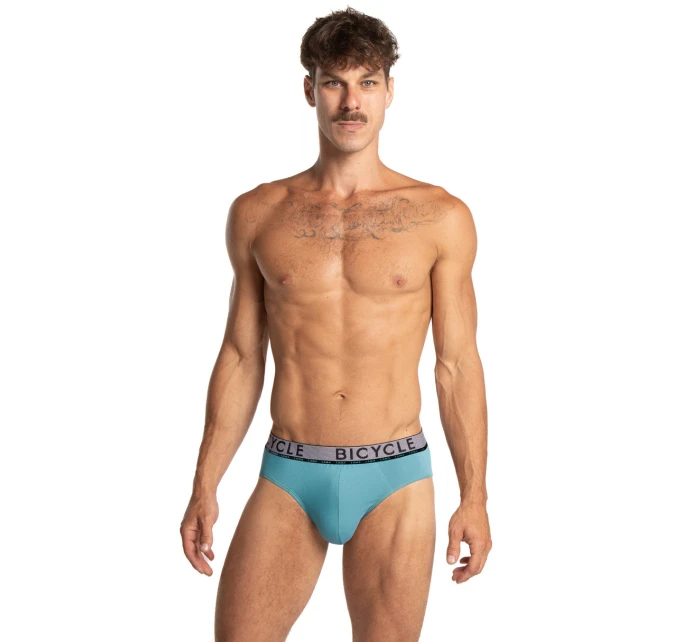 PÁNSKÉ SLIPY STANDARD model 21318221 2PACK - Lama