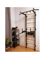 GYMNASTICKÝ REBRÍK S NASTAVITEĽNOU TYČOU A ZÁBRADLÍM BENCHK 732B