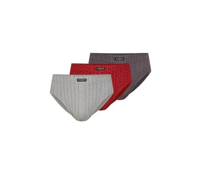 Pánské slipy 1446 model 17124942 A'3 M2XL - Henderson