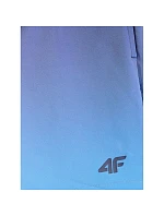 Pánske plážové šortky boardshorts 4F 4FRSS26UBDSM224-31S Pánske plážové šortky boardshorts 4F 4FRSS26UBDSM224-31S