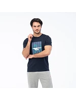 Pánské tričko s krátkým rukávem model 22062949 Pánské tričko s krátkým rukávem model 22062949