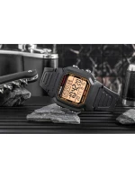 Pánské hodinky model 21804753 + BOX - CASIO Pánské hodinky model 21804753 + BOX - CASIO