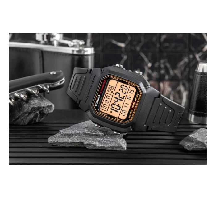 Pánské hodinky model 21804753 + BOX - CASIO Pánské hodinky model 21804753 + BOX - CASIO