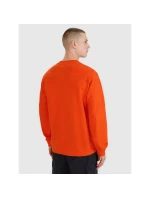 Pánska mikina s kapucňou 4F 4FRSS25TSWSM2179-70S pánska Pánska mikina s kapucňou 4F 4FRSS25TSWSM2179-70S pánska