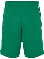 Daiber JN 387 Týmové kraťasy "Basic" 02.0387 green/white Daiber JN 387 Týmové kraťasy "Basic" 02.0387 green/white