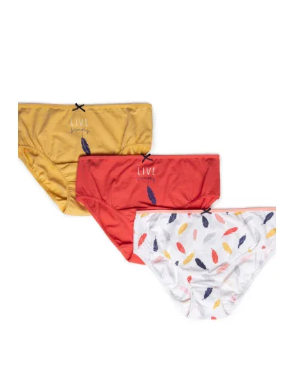 Dámské kalhotky BIKINI model 17549037 3pack - Lama Dámské kalhotky BIKINI model 17549037 3pack - Lama