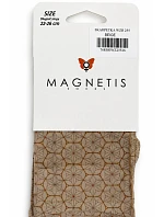 WZR model 22355268 - Magnetis