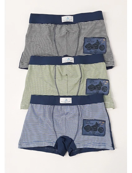 Dětské boxerky model 22065927 - Gasolineblu Dětské boxerky model 22065927 - Gasolineblu