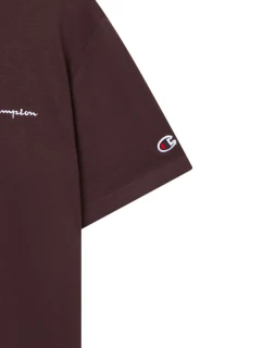 Pánské tričko SS Tee brown  pánské model 21493758 - CHAMPION