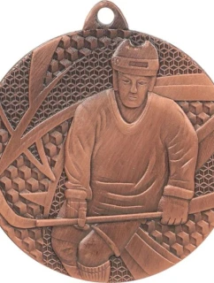 Bronzová medaila - hokej - oceľová medaila
