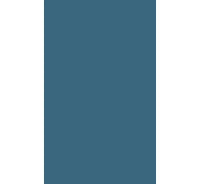 Pánske slipy Gatta Cotton Slip 41547 Pánske slipy Gatta Cotton Slip 41547