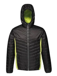 Pánska bunda Regatta Lake Placid Jcket M TRA464 2XG