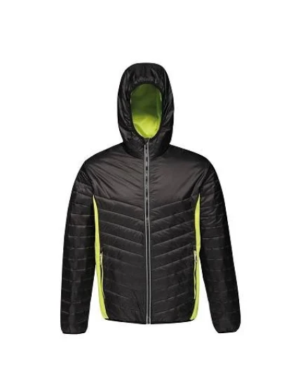 Pánska bunda Regatta Lake Placid Jcket M TRA464 2XG