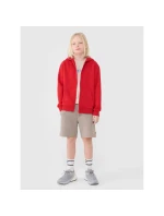 Chlapecká mikina s kapucí model 21435881 - 4F Chlapecká mikina s kapucí model 21435881 - 4F