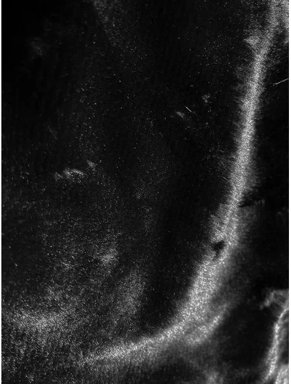 Černá dámská bunda s kožešinovou podšívkou model 21247366 - J.STYLE