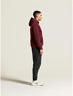 2.0 Hoodie M Pánská mikina s kapucí model 22471485 - Craft Corporate 2.0 Hoodie M Pánská mikina s kapucí model 22471485 - Craft Corporate