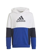 Adidas Colourblock Hoodie Jr HG6826