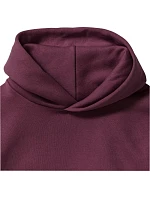 Dětská mikina s kapucí 10. purple model 22474069 - Russell Athletic Dětská mikina s kapucí 10. purple model 22474069 - Russell Athletic