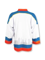 Replika zápasové mikiny Polonia model 21404610