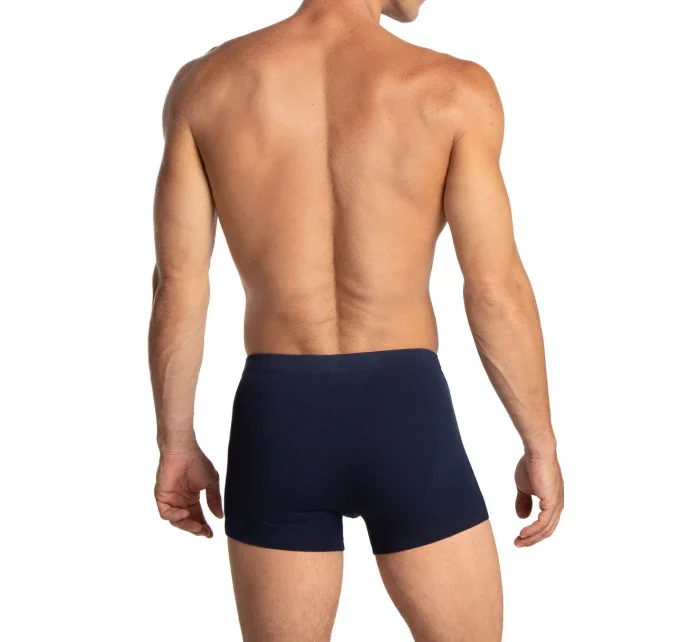 PÁNSKÉ ŠORTKY model 21182855 3PACK - Lama