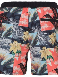 Pánské plážové šortky model 21465478 - Protest