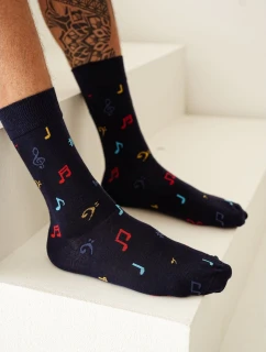 Pánské ponožky model 21902197 - Milena