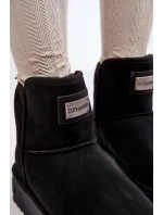 Sněžnice Na Platformě  Černé model 21638839 - D.Franklin