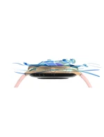 Dámské hodinky Pink model 21804283 - G.ROSSI Dámské hodinky Pink model 21804283 - G.ROSSI