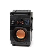 BLUETOOTH FM model 21861633