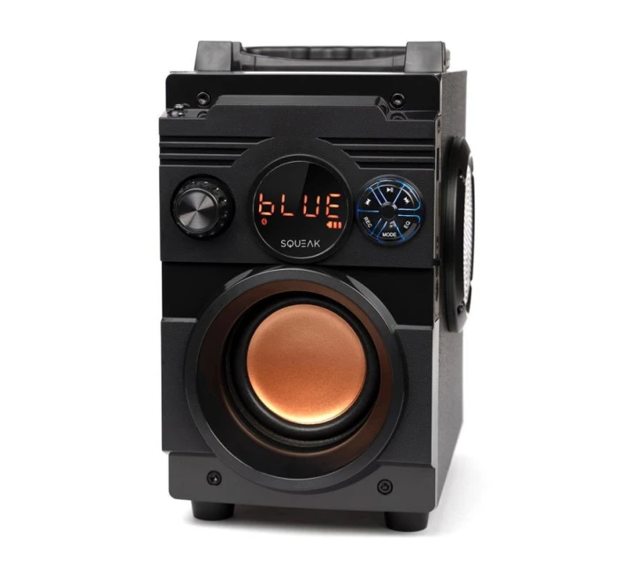 BLUETOOTH FM model 21861633