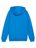 Puma teamGoal Casuals Hoodie Jr 658596 02 Puma teamGoal Casuals Hoodie Jr 658596 02
