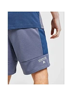 Pánské šortky Fleecové šortky  stylu model 22056030 - The North Face