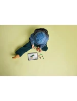 World model 21863933 - Lego