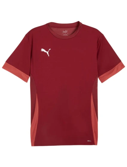 Pánský dres teamGoal Jersey bordó 09 pánské model 21392045 - Puma Pánský dres teamGoal Jersey bordó 09 pánské model 21392045 - Puma