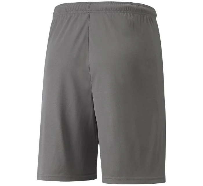 teamLIGA M model 21287999 13 šortky - Puma