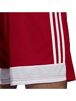 Pánske šortky Tastigo 19 DP3681 - Adidas