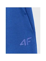 Pánské tepláky model 22099262 - 4F