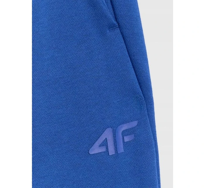 Pánské tepláky model 22099262 - 4F